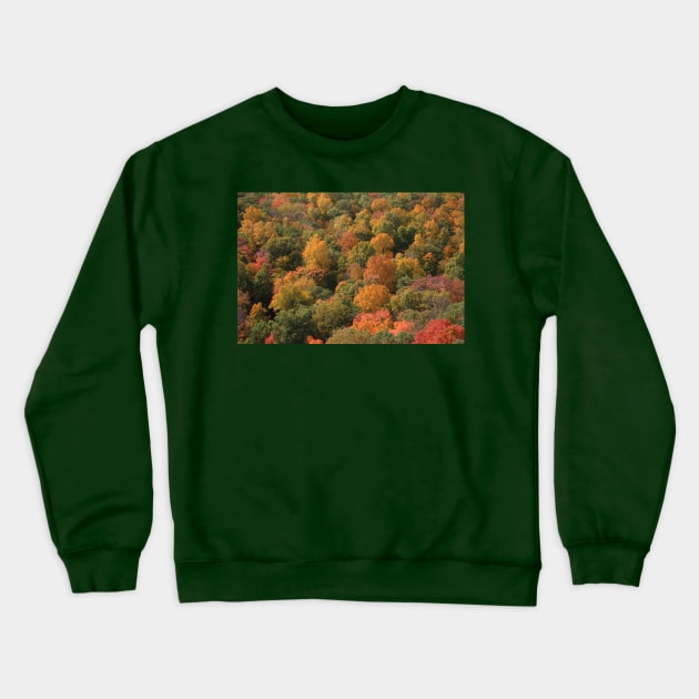 Fall Foliage Crewneck Sweatshirt by Rob Johnson Photography